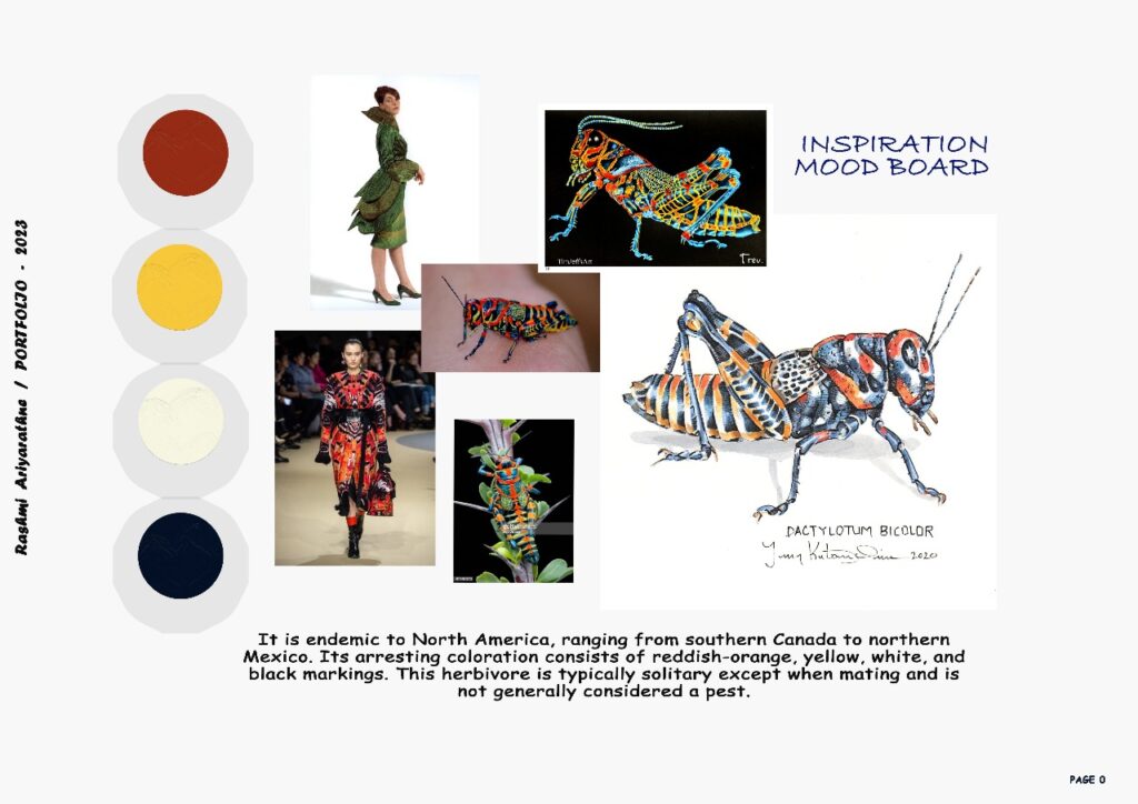 WhatsApp Image 2024-12-04 at 14.30.34