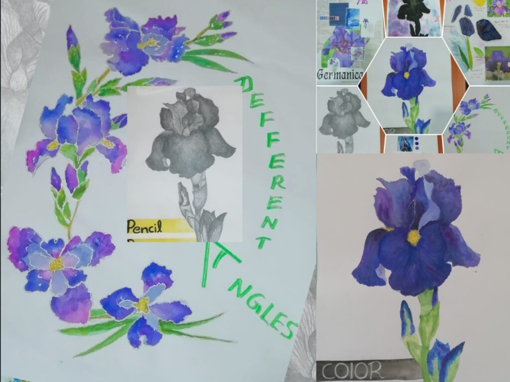 WhatsApp Image 2024-12-04 at 14.58.06